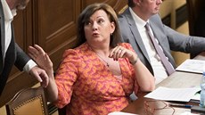 Místopředsedkyně vlády a ministryně financí Alena Schillerová ve Sněmovně při... Místopředsedkyně vlády a ministryně financí Alena Schillerová ve Sněmovně při...