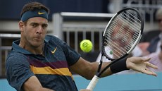 Argentinský tenista Juan Martín del Potro na turnaji v Londýně Argentinský tenista Juan Martín del Potro na turnaji v Londýně