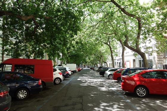 Stromy v Luické ulici zdaleka nejsou v bezpeí.