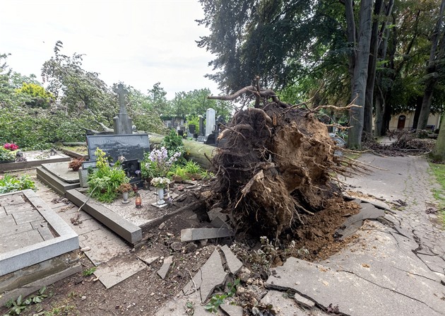 Následky pondlní boue na hbitov v Prostjov, kde vichr vyvrátil dva...