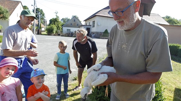 Podle orientanch daj ornitolog se na Vysoin nachz kolem osmi destek hnzd p blch.