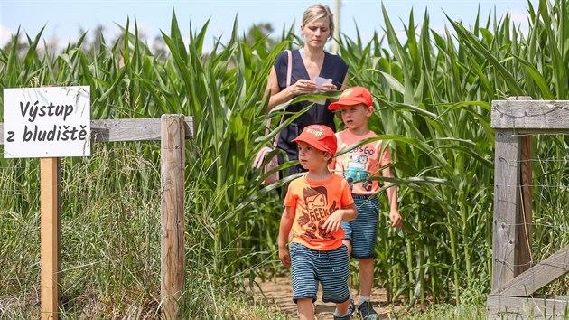 Kukuřičné bludiště vyrostlo u Roseče na Jindřichohradecku.