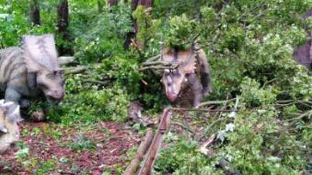 Vykovsk DinoPark musel po pondln bouce na jeden den zavt kvli popadanm stromm a vpadku proudu.