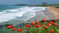 Fistral Beach, Newquay Fistral Beach, Newquay