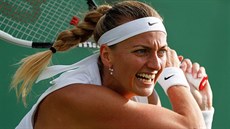 Petra Kvitová v prvním kole Wimbledonu. Petra Kvitová v prvním kole Wimbledonu.