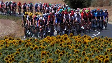 Cyklisté bhem tvrté etapy Tour de France.
