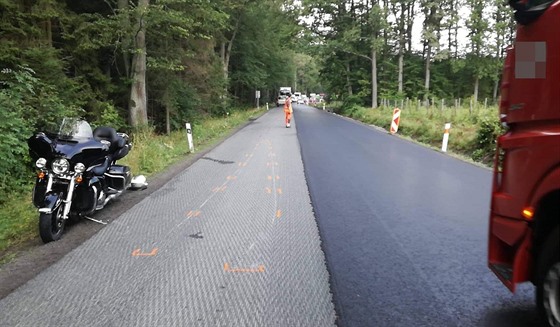 Zvíe od stetu uteklo, spolujezdkyni motorkáe pevezli záchranái do...