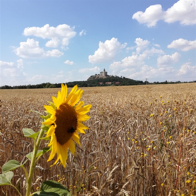 hrad Kunětická hora