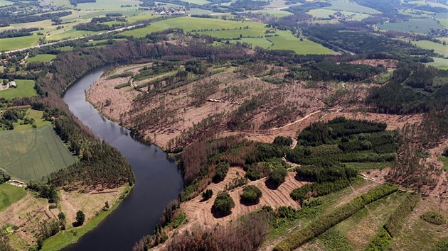 Zdevastované lesy v okolí Želivky. Tmavou barvu mají usychající borovice. Zdevastované lesy v okolí Želivky. Tmavou barvu mají usychající borovice.