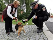 Strážník zjišťuje, zda je pes označen čipem. Strážník zjišťuje, zda je pes označen čipem.