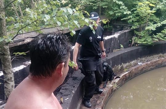 Dvojice mu objevila v Nchod v star istice labradora, jeden pro nj skoil. Na pomoc pijeli i strnci (6. 7. 2019).