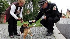 Strážník zjišťuje, zda je pes označen čipem. Strážník zjišťuje, zda je pes označen čipem.