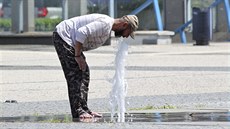 Lidé i ptáci v rozpálené Olomouci hledali osvení. (léto 2019)