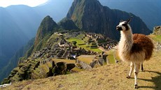 Peru, Machu Picchu