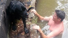 Dvojice mužů objevila v Náchodě v staré čističce labradora, jeden pro něj... Dvojice mužů objevila v Náchodě v staré čističce labradora, jeden pro něj...