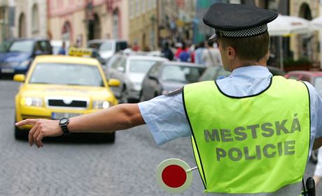 Podle odborá opavské mstské policie se v seznamu aut, která stráníci ve mst nesmí pokutovat, objevily i soukromé vozy. (Ilustraní snímek)