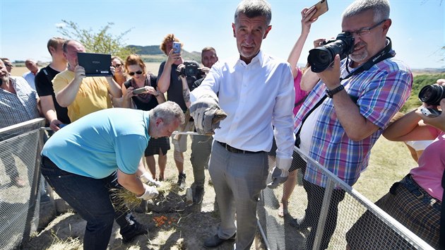 Premir Andrej Babi spolen s ministrem ivotnho prosted Richardem Brabcem pi nvtv steckho kraje vypustili do voln prody nkolik destek sysl.