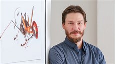 Neprobádaný svět mravenců na ostrově Bougainville v Papuy-Nové Guineji v Tichém... Neprobádaný svět mravenců na ostrově Bougainville v Papuy-Nové Guineji v Tichém...