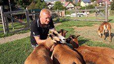 Alois Šacl se stará o ovce kamerunské nebo nandu pampové. Zookoutek vybudoval u... Alois Šacl se stará o ovce kamerunské nebo nandu pampové. Zookoutek vybudoval u...