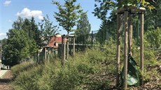 Zavlažovací vaky se nedávno objevily také v ulicích Jablonce nad Nisou. Zavlažovací vaky se nedávno objevily také v ulicích Jablonce nad Nisou.
