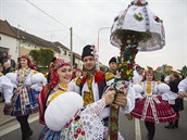 Hody s právem na Uherskohradišťsku udržuje 47 obcí. Hody s právem na Uherskohradišťsku udržuje 47 obcí.