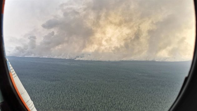 Pohled z vrtulnku na hoc lesy v ruskm Jakutsku.