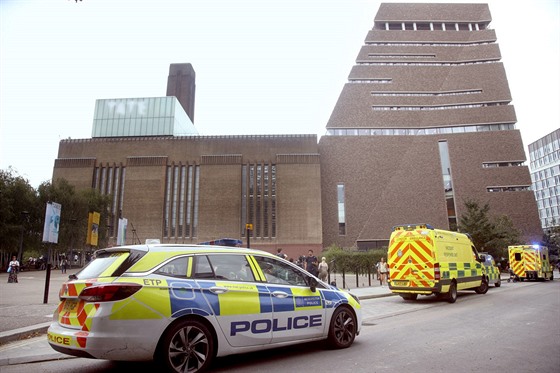 Londýnská policie zadrela sedmnáctiletého mladíka kvli podezení z pokusu o...