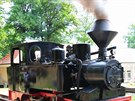Lesní železniční dráha v Muskau Lesní železniční dráha v Muskau