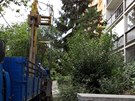 Práce na geologickém průzkumu pro metro D v oblasti Pankráce. Práce na geologickém průzkumu pro metro D v oblasti Pankráce.