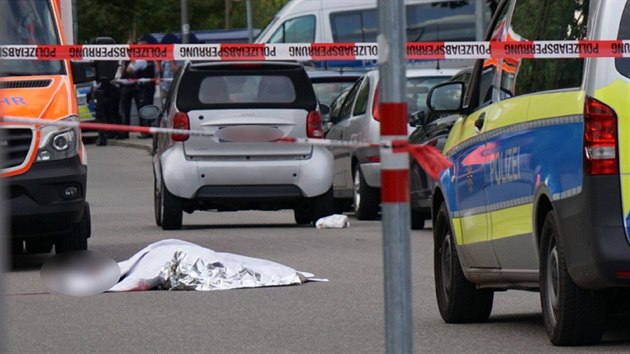 Syan ubodal na ulici ve Stuttgartu svho spolubydlcho. (1. srpna 2019)