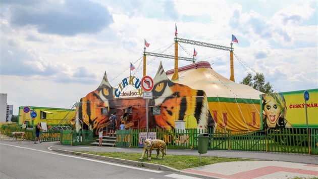 Cirkusy s drezurou zvířat zatím v Táboře vystupovat smějí. Musí se ale domluvit s majitelem soukromého pozemku. Na začátku srpna 2019 tam zrovna jeden dorazil.