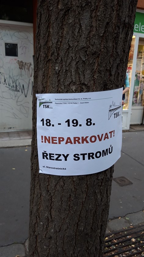 Proezávání strom na Starostranické