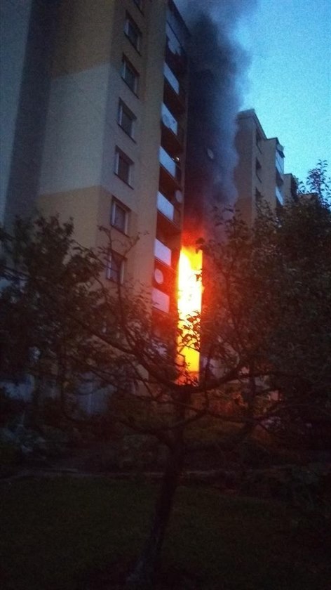 Panelový dům začal hořet díky drogovému doupěti.
V pozdních hodinách 16 srpna zachvátil Vsetín proudy hasičských aut, které měli namířeno k požáru v Luhu, kde začal hořet byt za příčinu požáru se zatím považuje vaření drog. Požár následně zasáhl dohrom