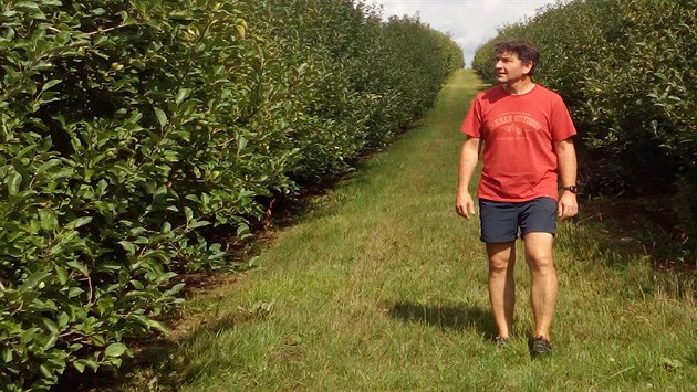 Z odrůdy Bohemia nevyrostlo na rodinné farmě v Pěnčíně skoro nic. „Na prázdné... Z odrůdy Bohemia nevyrostlo na rodinné farmě v Pěnčíně skoro nic. „Na prázdné...