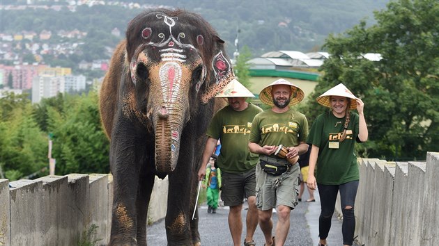 V netradinm odvu, pomalovan indickmi motivy, se dnes dopoledne vydala slonice Delhi na prochzku arelem steck zoo.