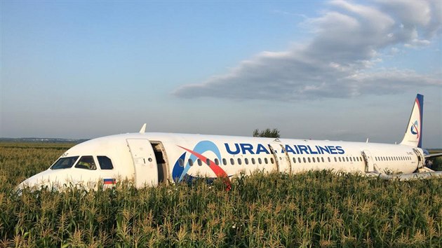 Letadlo Airbus A321 le v kukuinm poli u Moskvy, kde nouzov pistlo po srce s hejnem rack. Nikdo na palub nepiel o ivot. (15. 8. 2019)