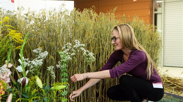 Na olomouckm vstaviti zaala letn etapa kvtinov vstavy Flora. Hlavn expozice (na snmku jej dokonovn) m ppomnat eskou krajinu jako nrodn klenot.