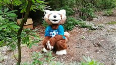 Panda Maio je novým maskotem zooparku Panda Maio je novým maskotem zooparku