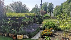 Maminčina zahrádka v Podkrušnohoří, v téměř 700 metrech n.m. Do soutěže ji... Maminčina zahrádka v Podkrušnohoří, v téměř 700 metrech n.m. Do soutěže ji...