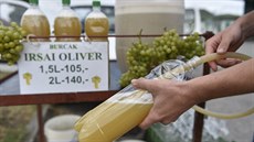Na jižní Moravě začali vinaři prodávat burčák. Na snímku je stánek u silnice... Na jižní Moravě začali vinaři prodávat burčák. Na snímku je stánek u silnice...