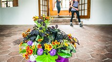 Deset zahradnic vykouzlilo aranže, které představují například vánoční sen... Deset zahradnic vykouzlilo aranže, které představují například vánoční sen...
