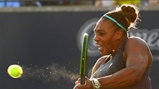 Serena Williamsová v semifinále turnaje v Torontu. Serena Williamsová v semifinále turnaje v Torontu.