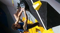 Adam Ondra na mistrovství světa v japonském Hačiodži. Adam Ondra na mistrovství světa v japonském Hačiodži.