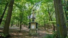 Lesopark Čeřovka v Jičíně. Lesopark Čeřovka v Jičíně.