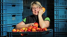 Jana Zikmundová z nebílovských sadů na Plzeňsku očekává zhruba třetinovou úrodu... Jana Zikmundová z nebílovských sadů na Plzeňsku očekává zhruba třetinovou úrodu...