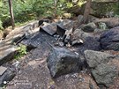 po lesích bordel od bezdomovců i popelnice rozhazene,,mesto nechava bezdomovce v lesich vedle sidliště po lesích bordel od bezdomovců i popelnice rozhazene,,mesto nechava bezdomovce v lesich vedle sidliště