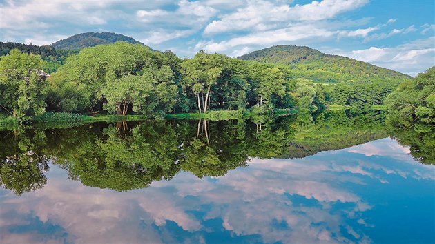 Příroda Dolního Poohří je vzácná hlavně kvůli původní vegetaci lužních lesů a... Příroda Dolního Poohří je vzácná hlavně kvůli původní vegetaci lužních lesů a...