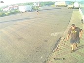 Zloději odtáhli dodávku na tažném laně, jeden z nich kulhá. Zloději odtáhli dodávku na tažném laně, jeden z nich kulhá.