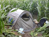 Stanoviště v kukuřičném poli s načerno nainstalovanou přípojkou. Stanoviště v kukuřičném poli s načerno nainstalovanou přípojkou.