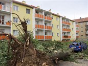 Bouřka provázená hustým deštěm a velmi silným větrem polámala či vyvrátila v... Bouřka provázená hustým deštěm a velmi silným větrem polámala či vyvrátila v...